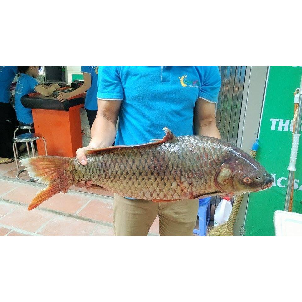 Thực đơn hàng ngày12 /10 / 2015