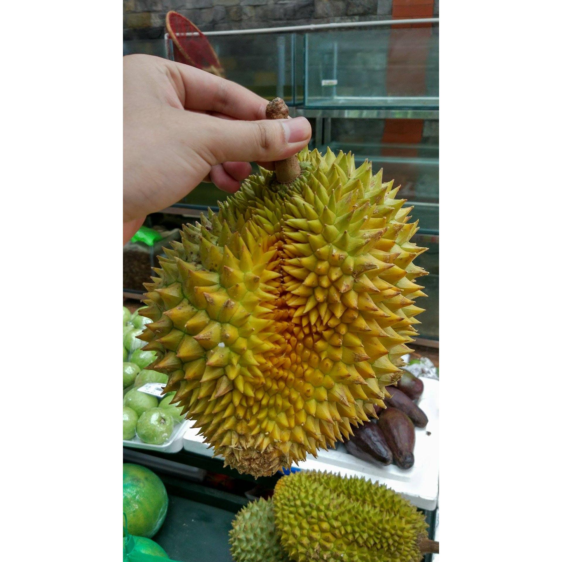 Thực Đơn Hàng Ngày 1/4/2016