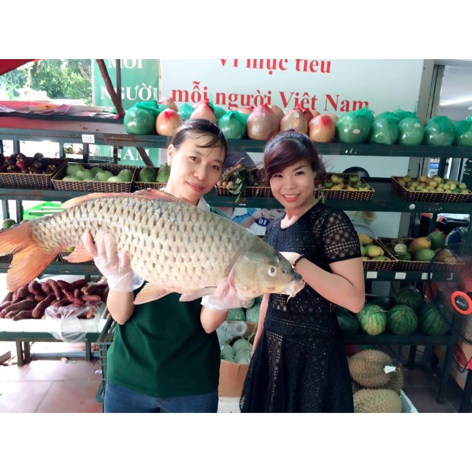 Thực đơn hàng ngày, Thứ Tư  24/8/2016