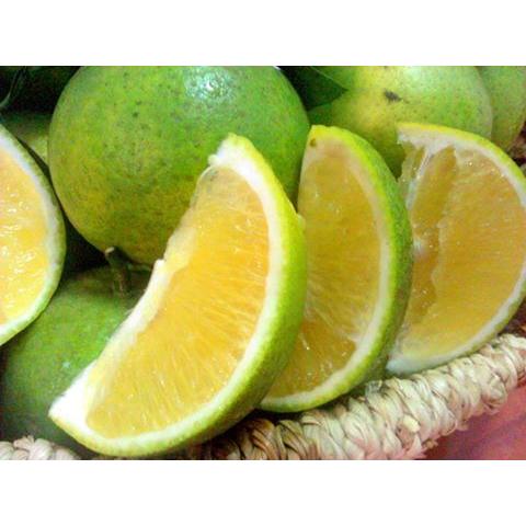 Thực đơn hàng ngày 21 /10 / 2015