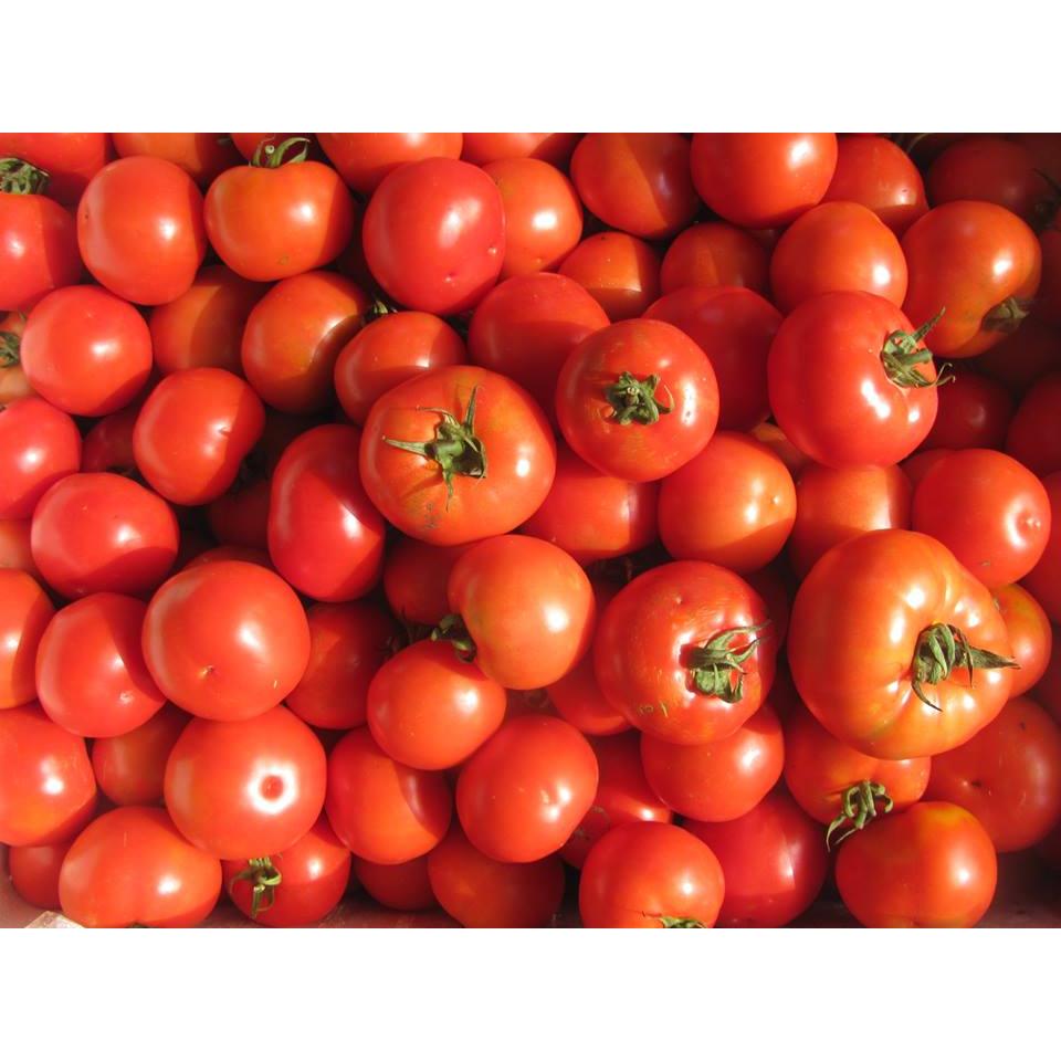 Thực đơn hàng ngày 05 /11 / 2015