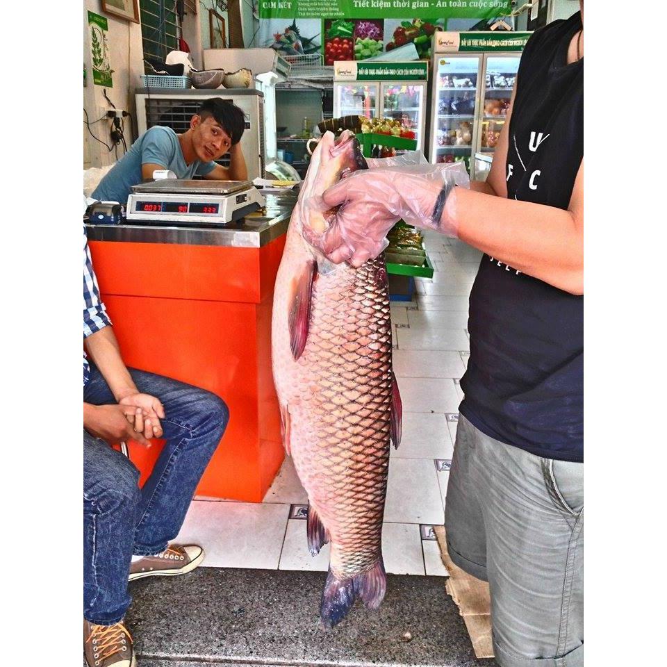 Thực Đơn Hàng Ngày 6/6/2016