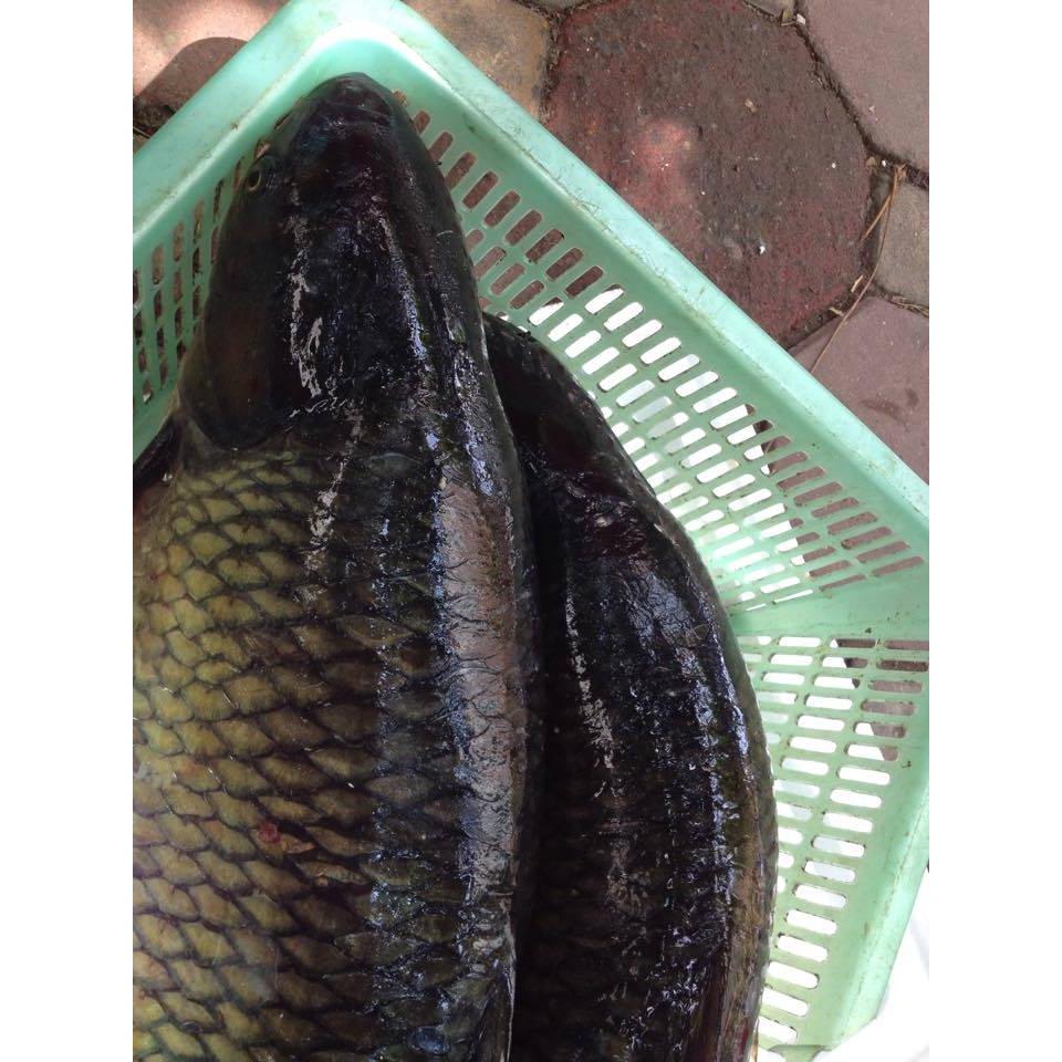 Thực đơn hàng ngày 06 /10 / 2015