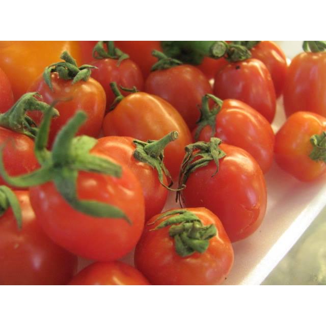 Thực đơn hàng ngày 10 /11/ 2015