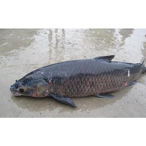 Thực đơn hàng ngày 19 /10 / 2015