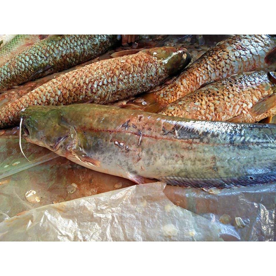 Thực đơn hàng ngày29 /10 / 2015