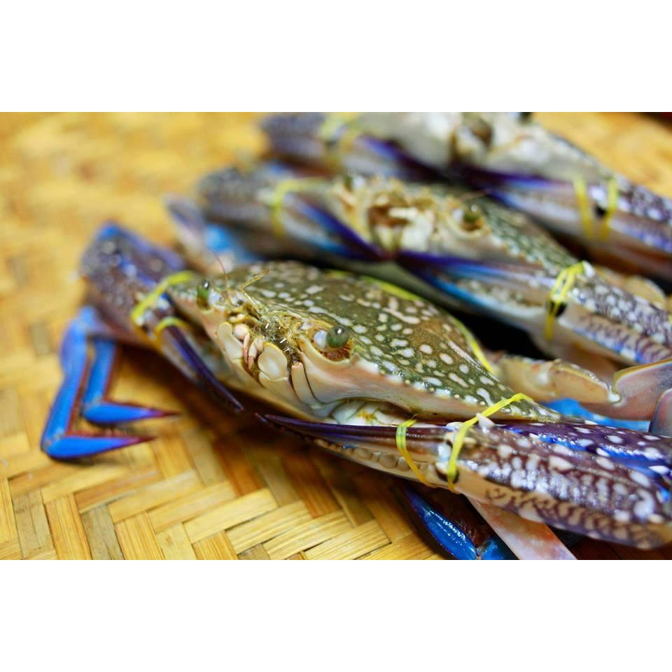 Thực đơn hàng ngày 14/10 / 2015