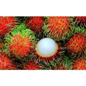 Thực đơn hàng ngày, Thứ Ba ngày 13/9/2016