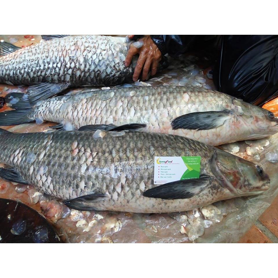 Thực đơn hàng ngày 18 /10 / 2015