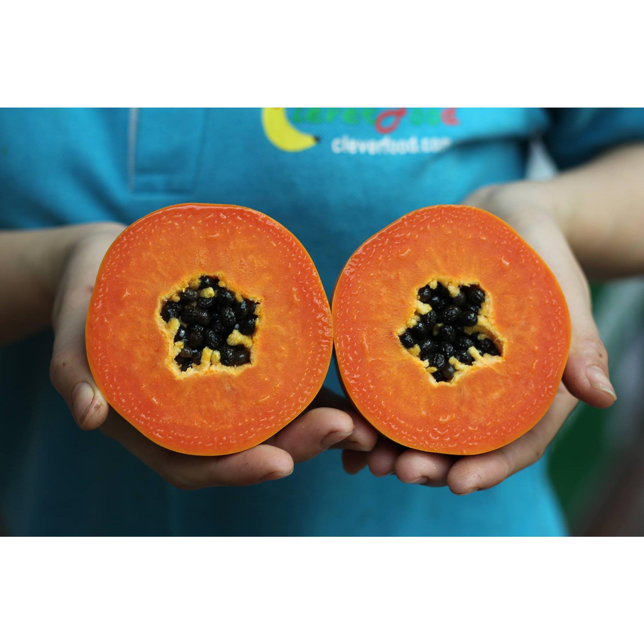 Thực đơn hàng ngày, Chủ Nhật 18/6/2017