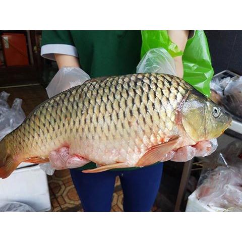 Thực đơn hàng ngày, Thứ ba- ngày 26/7/2016