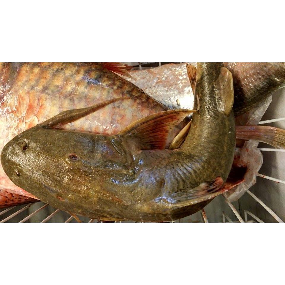 Thực đơn hàng ngày15/10 / 2015