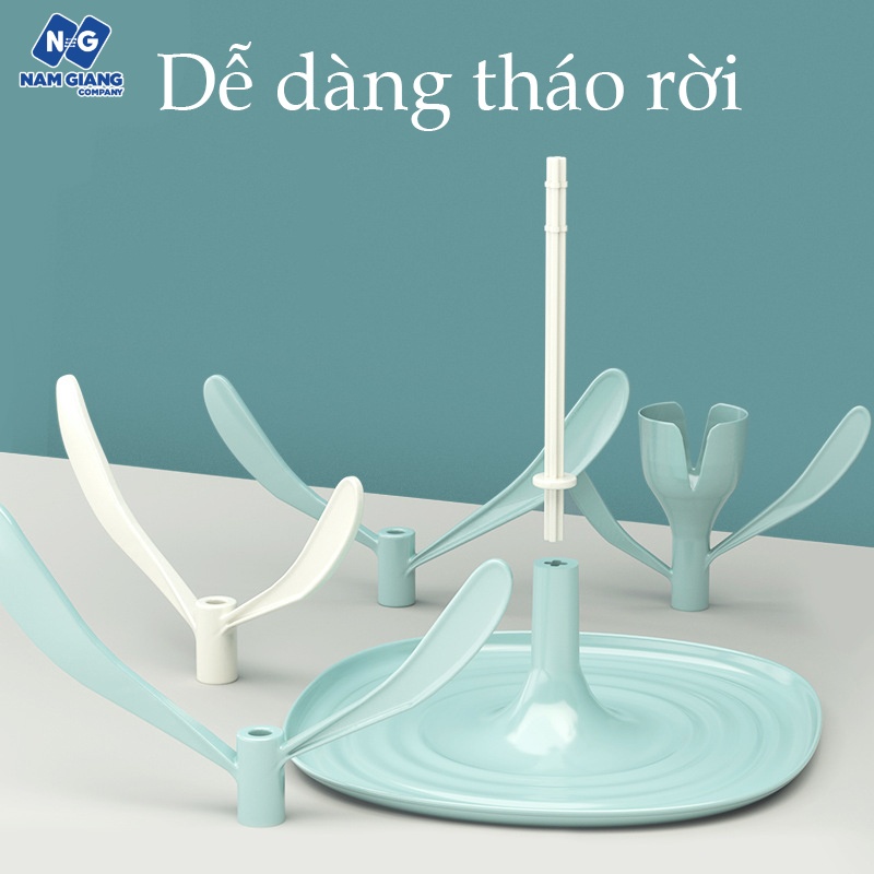 Cây úp bình sữa kichi