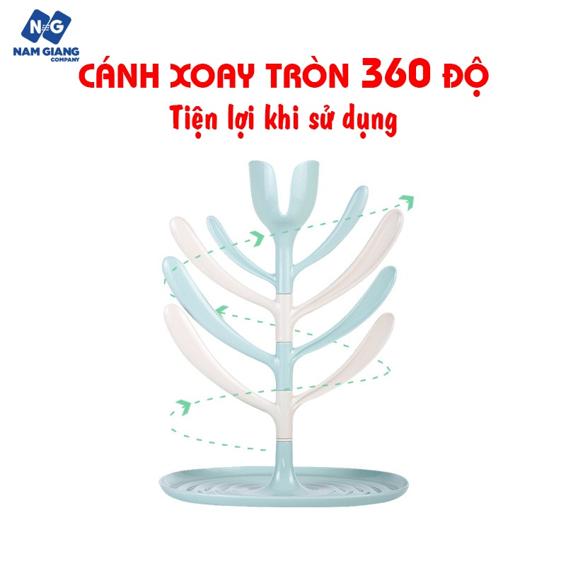 Cây úp bình sữa kichi
