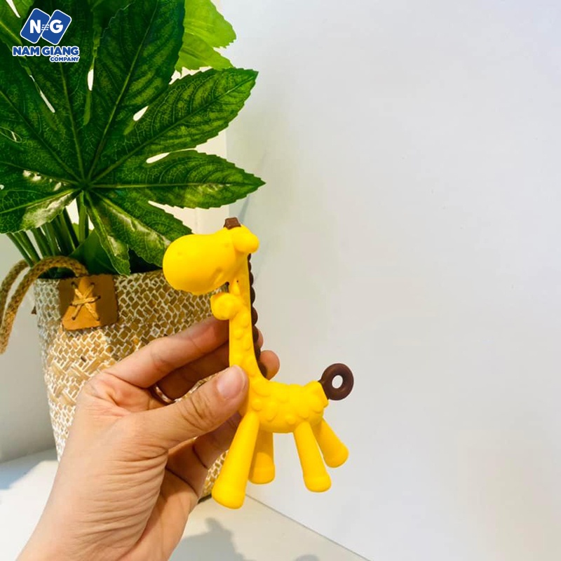 Gặm nướu hươu cao cổ kichi