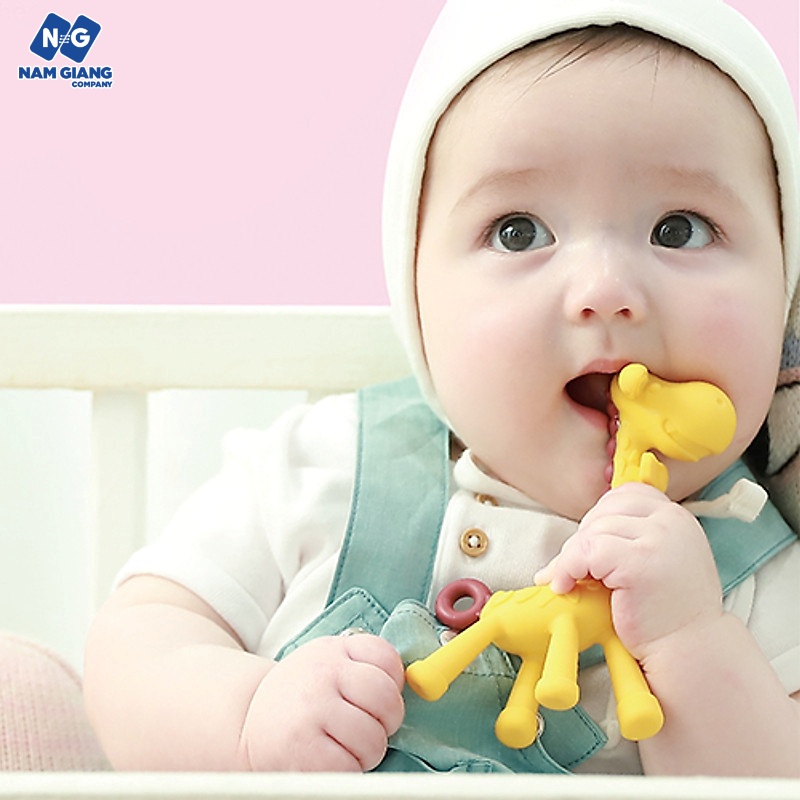 Gặm nướu hươu cao cổ kichi