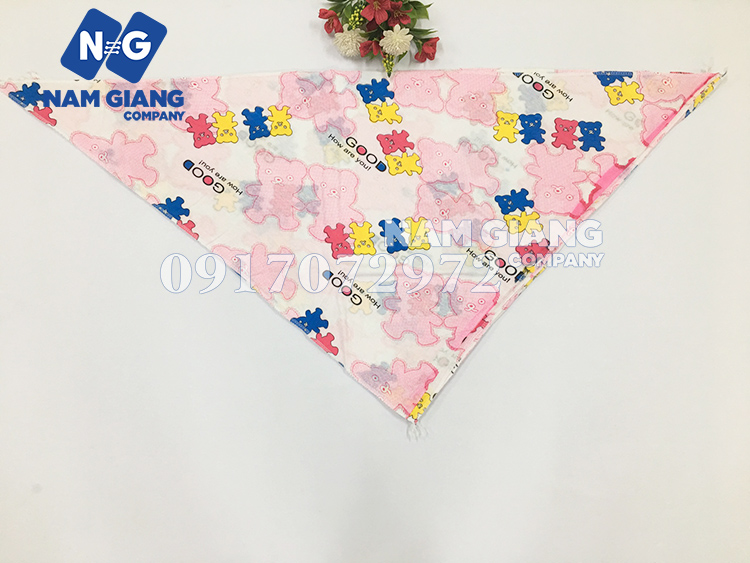 Tã chéo gấu Hằng Trang