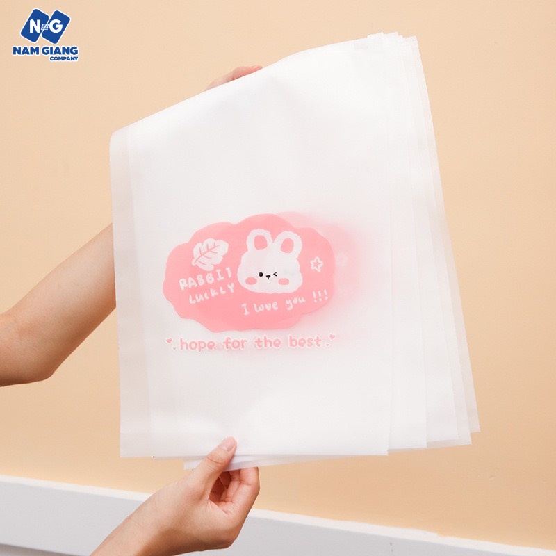 Túi zip đựng đồ đi sinh cho mẹ (Sét 10c)