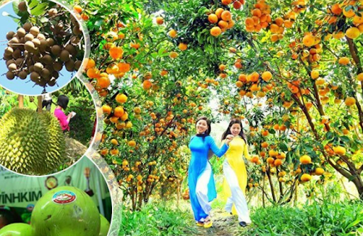 DU LỊCH MIỀN TÂY