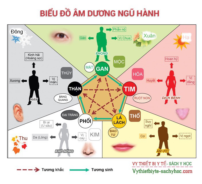 Quy luật âm dương ngũ hành: Hiểu biết sâu sắc và ứng dụng trong đời sống