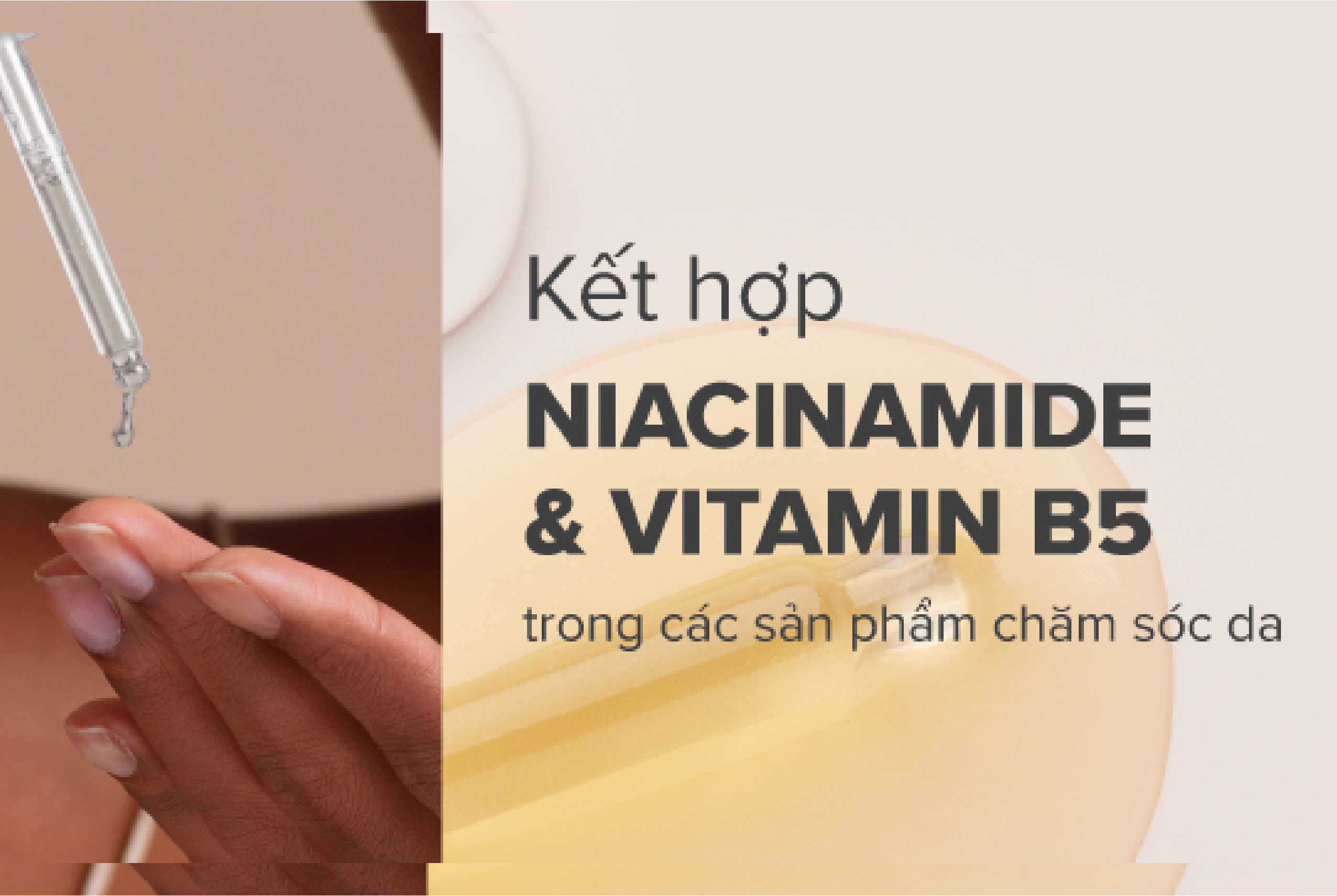 Cách Kết Hợp Niacinamide Và B5 Trong Quá Trình Dưỡng Da