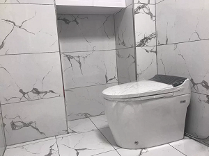 Bồn cầu điện tử thông minh cảm ứng tự động MN-1227