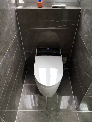 Bồn cầu điện tử thông minh cảm ứng tự động MN-1227