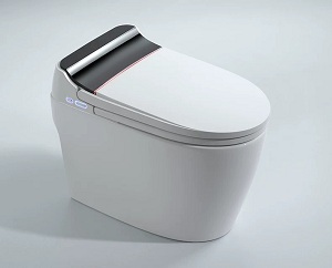 Bồn cầu điện tử thông minh cảm ứng tự động MN-1227