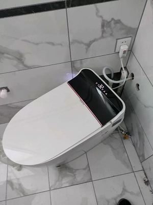 Bồn cầu điện tử thông minh cảm ứng tự động MN-1227