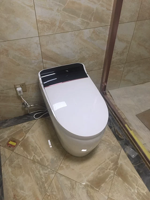 Bồn cầu điện tử thông minh cảm ứng tự động MN-1227