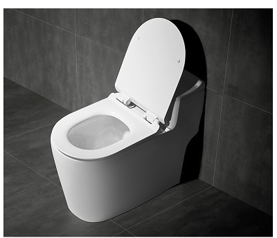 Bồn cầu liền khối men nano kháng khuẩn MN-1216