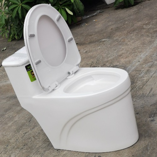 Bồn cầu liền khối men nano kháng khuẩn FX-1308