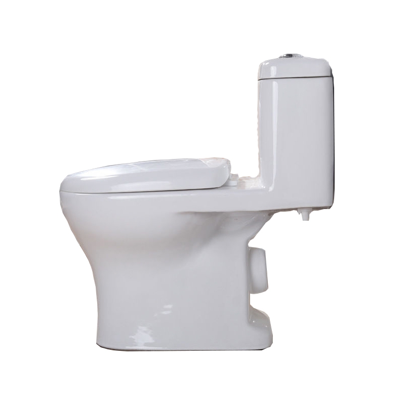 Máy bơm nghiền đẩy chất thải bồn cầu- Máy xử lý chất thải bồn cầu -Máy bơm xả thải