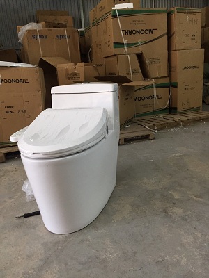 Nắp rửa bồn cầu điện tử