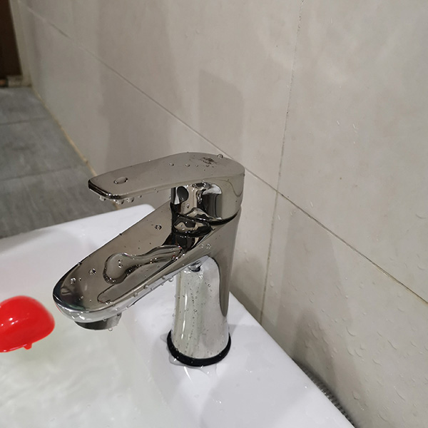 Vòi lavabo nóng lạnh inox 304 FX-535V