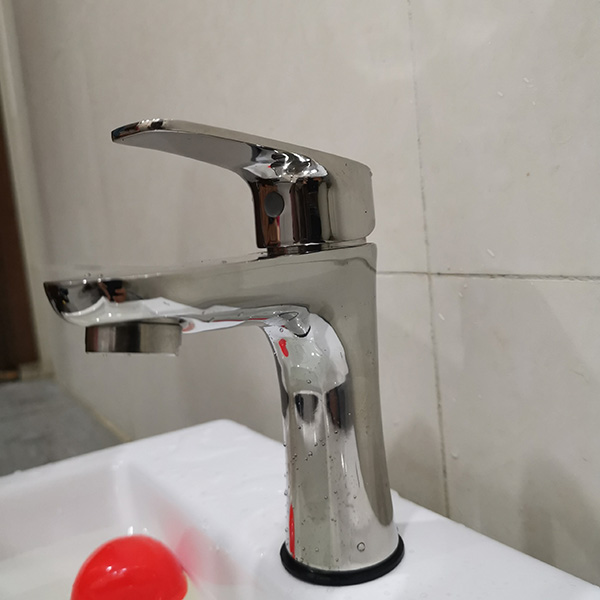 Vòi lavabo nóng lạnh inox 304 FX-535V