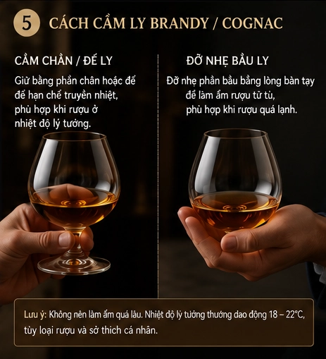 Cách cầm ly Brandy Cognac ở chân ly và đỡ nhẹ bầu ly