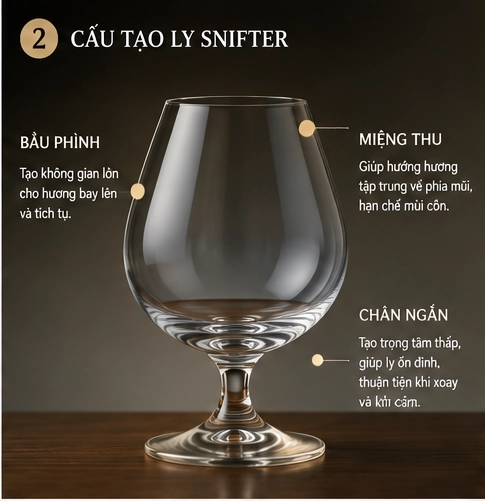 Cấu tạo ly Snifter với bầu rộng miệng thu và chân ngắn