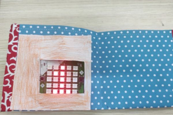 Cập nhật các mô hình STEM tiểu học sáng tạo và an toàn