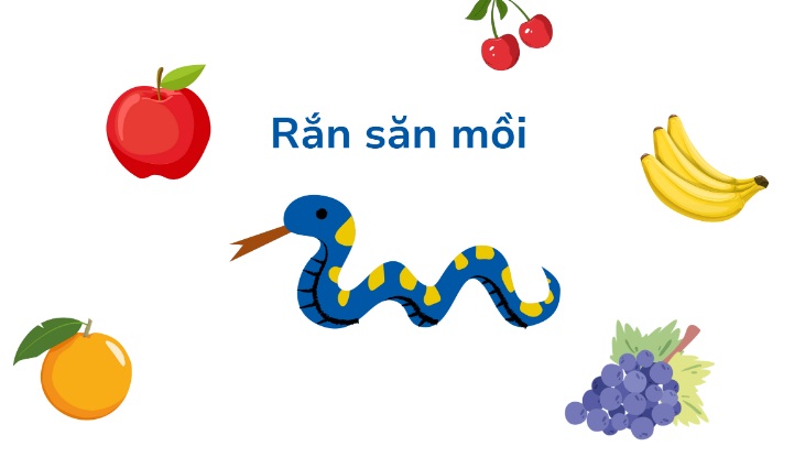 Hướng dẫn cách code game Python đơn giản với rắn săn mồi