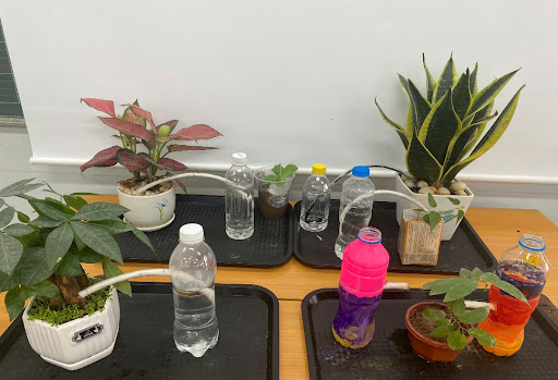 Giáo án STEM lớp 4 dễ triển khai, phù hợp thực tế giảng dạy