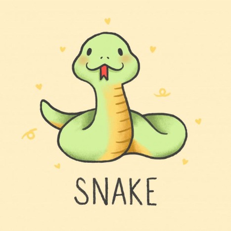 Hướng dẫn cách code game Python đơn giản với rắn săn mồi