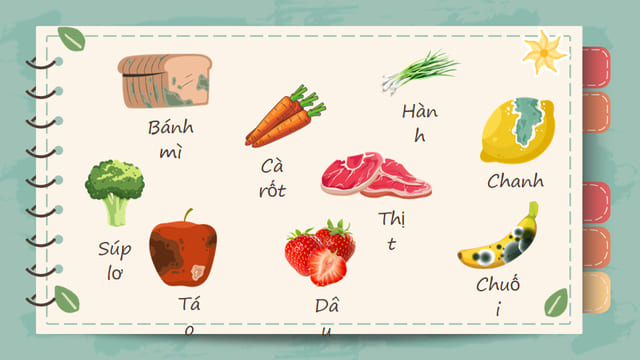 Giáo án STEM lớp 4 dễ triển khai, phù hợp thực tế giảng dạy