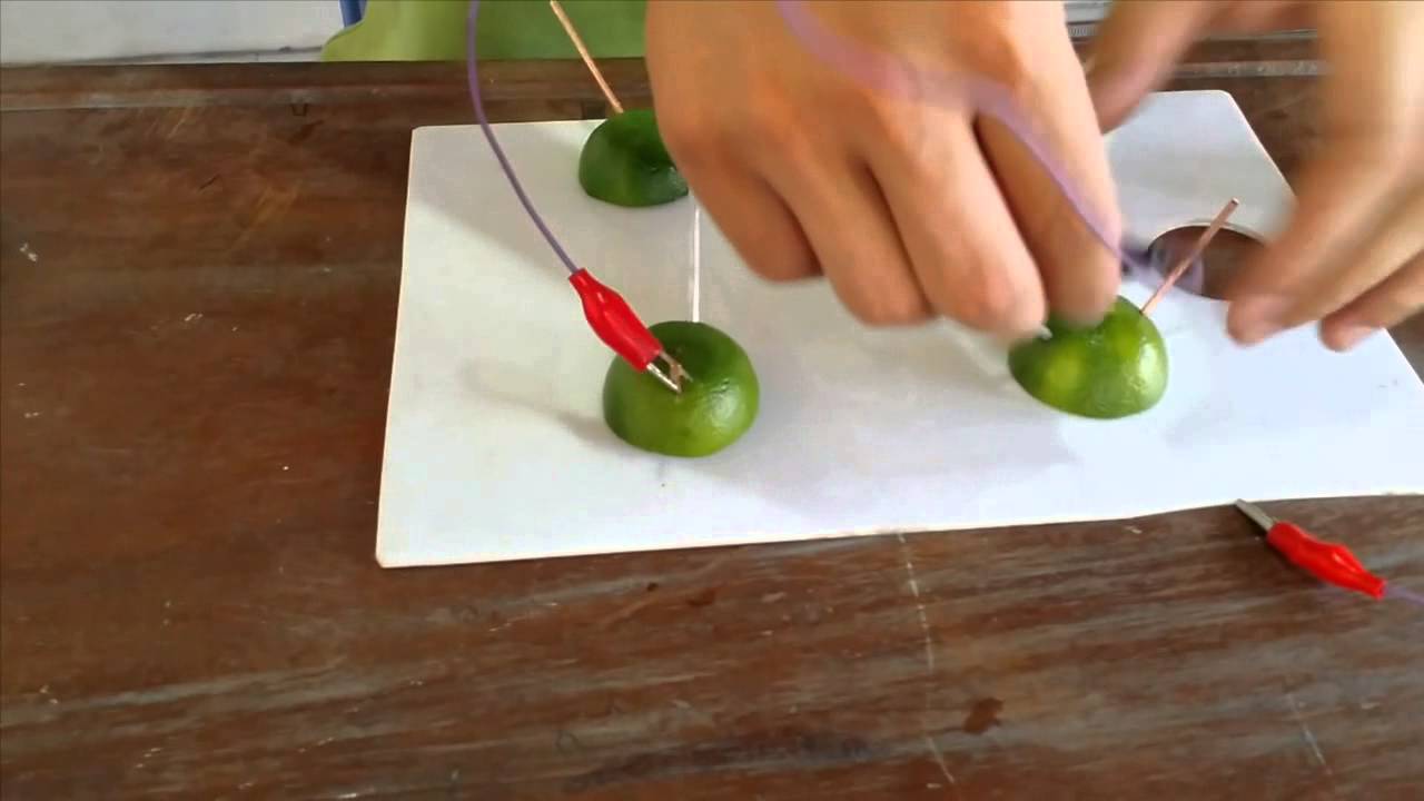 Các ý tưởng STEM tiểu học thú vị giúp học sinh khám phá thế giới