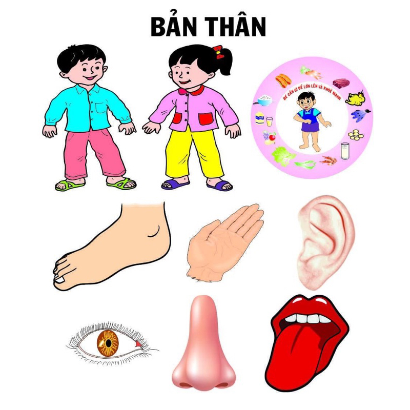 Giáo án STEAM 4 5 tuổi chủ đề bản thân - Cách xây dựng và ứng dụng hiệu quả