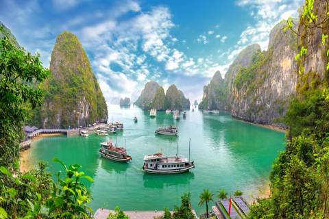 Đặt tour Hạ Long giá tốt - Trải nghiệm trọn vẹn cùng Ted Việt