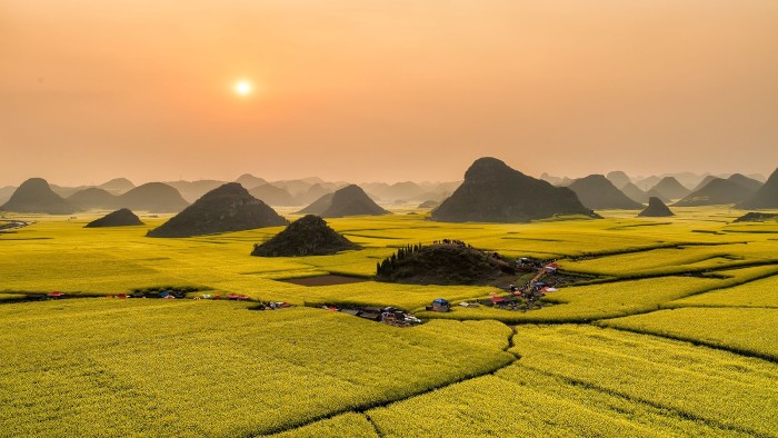 ĐẮM SAY CÁNH ĐỒNG HOA CẢI LA BÌNH (VÂN NAM - TRUNG QUỐC)
