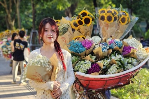 Kinh nghiệm du lịch Hà Nội mùa thu: Cẩm nang tận hưởng mùa đẹp nhất thủ đô