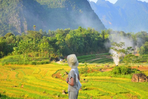 Kinh nghiệm du lịch mùa lúa chín Pù Luông: Săn mùa vàng đẹp nhất xứ Thanh