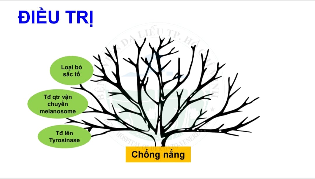 Kem chống nắng có tác dụng chống lão hóa do ánh sáng và tia UV